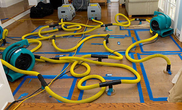 Professional Water Extraction technician working in Waynesboro, VA